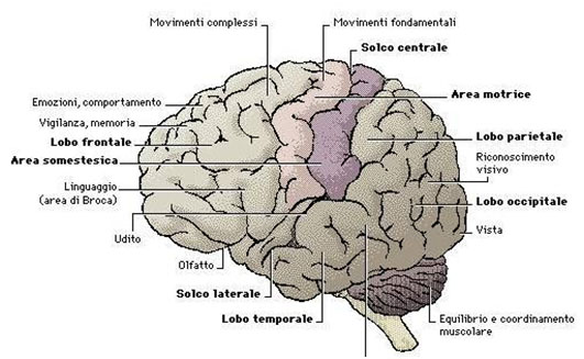 Non avere paura: è epilessia